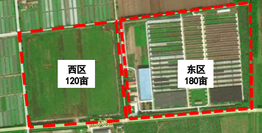 图片 30.png