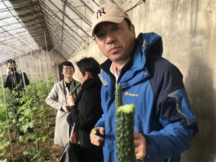 园区体验