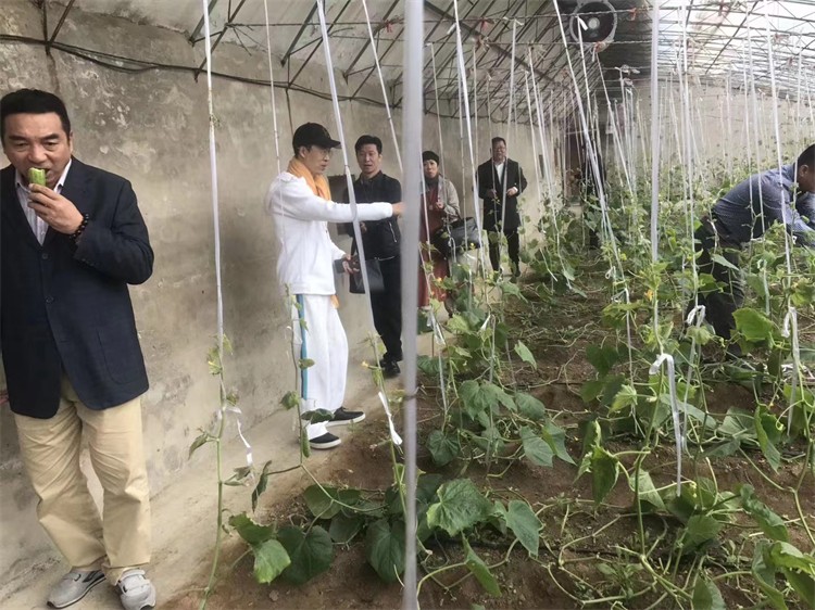 园区体验